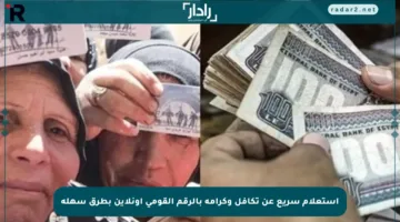 استعلام سريع عن تكافل وكرامة بالرقم القومي أونلاين بطرق سهلة